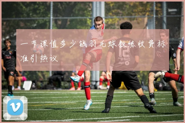 一节课值多少钱羽毛球教练收费标准引热议