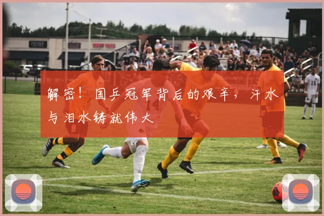 解密!国乒冠军背后的艰辛,汗水与泪水铸就伟大