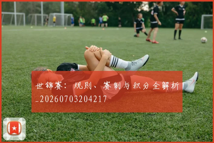 世锦赛：规则、赛制与积分全解析_20260703204217