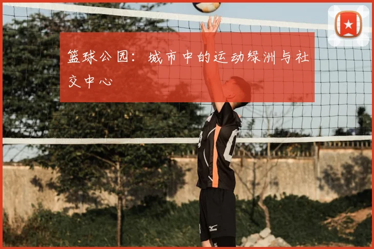 篮球公园：城市中的运动绿洲与社交中心
