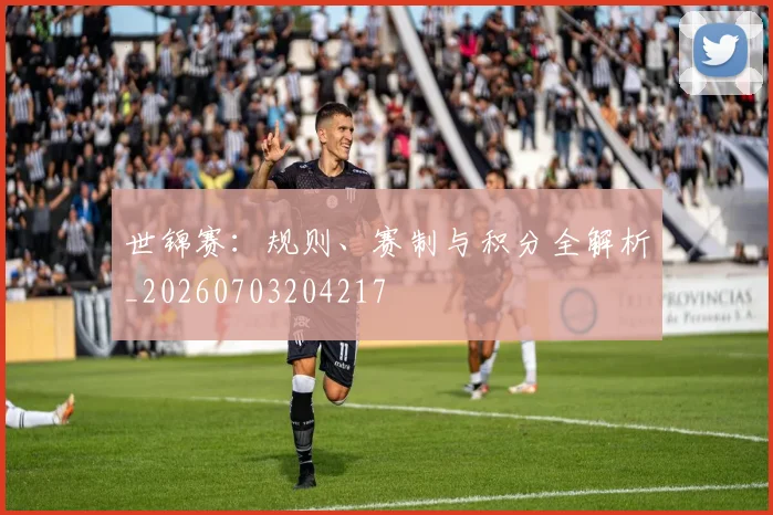 世锦赛:规则、赛制与积分全解析_20260703204217