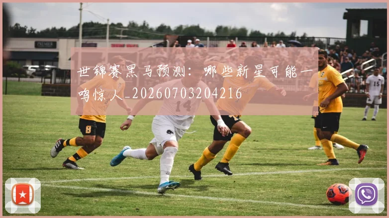 世锦赛黑马预测：哪些新星可能一鸣惊人_20260703204216